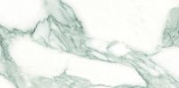 16769846575878-emilceramicabodenteledimarmoselection30x60300x600teledimarmoselectionarabescatocorchianatrt