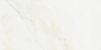16800861564409-marazzibodenevolutionmarblefloor15x60evolutionmarblelux