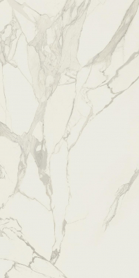 16842299193238-caesarbodenanima160x320silk