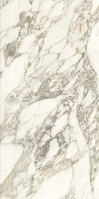 16842300271576-caesarbodenanimaever80x160lucidato