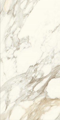 16842300337825-caesarbodenanimaever60x120lucidato