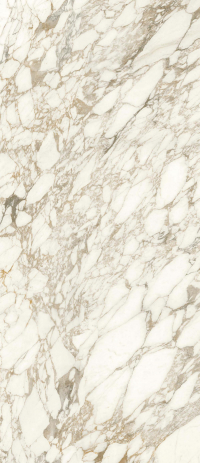 16842300510538-caesarbodenanimaever120x278lucidato