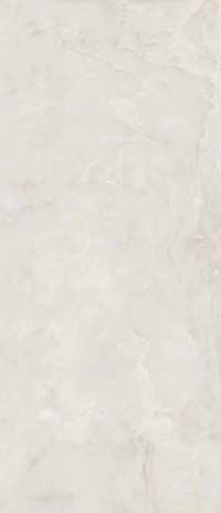 16842300539734-caesarbodenanimaever120x278lucidato