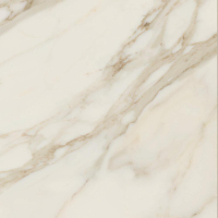 16842300928305-caesarbodenanimafutura60x60mattrt