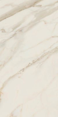 16842301012062-caesarbodenanimafutura60x120mattrt
