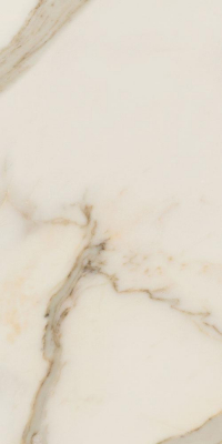 16842301106365-caesarbodenanimafutura30x60mattrt