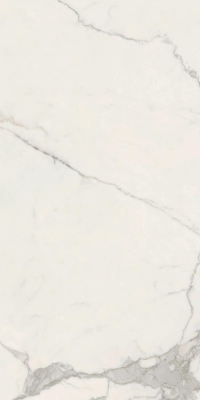 16842301384464-caesarbodenanimafutura60x120lucidatort