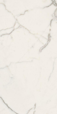 16842301540605-caesarbodenanimafutura30x60lucidatort