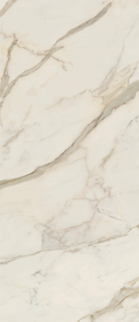 16842301611167-caesarbodenanimafutura120x278lucidatort
