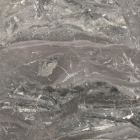 16842302013788-caesarbodenanimafutura120x1201195lucidatort
