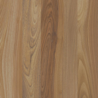 16843152314321-caesarbodenhike60x60extragriprt