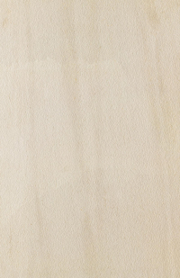 16843159004992-caesarbodenportraits60x90extragriprt