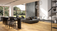 1694179511605-rondinebodentimeless24x150