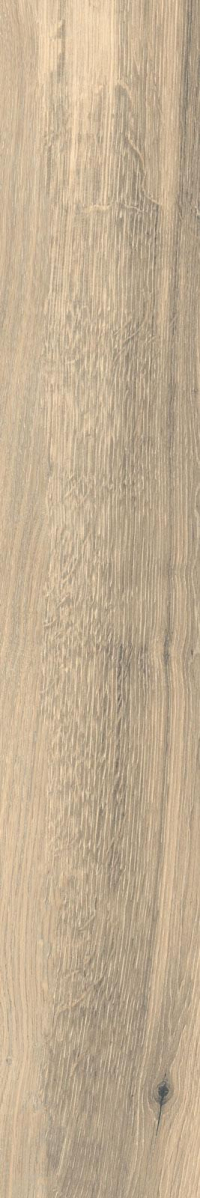 1694179515683-rondinebodentimeless20x120