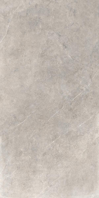 16941796030472-rondinebodencanova60x120