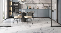 16941796256617-rondinebodencanova60x120