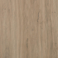 16976443638-casalgrandebodentavolato20x120marronechiaro