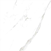 16976444039192-casalgrandebodenmarmoker60x120statuariogrigio