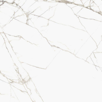 16976444754888-casalgrandebodenmarmoker60x120titanwhite
