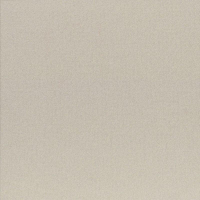 17006653518959-casalgrandebodenearth15x120earthgrigio1