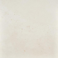 17334762330533-bodenfioranesekollektionicoccigrosze60x60farbecalceret