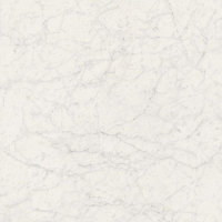 17334765354736-bodenfioranesekollektionmarmoreagrosze60x60farbebiancogioiaret