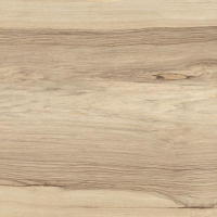 17334772580628-bodenfioranesekollektionsfridogrosze60x120farbefrakebeige