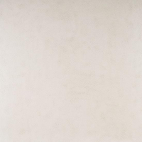 17334772609904-bodenfioranesekollektionsfridogrosze60x120farbecemento1bianco